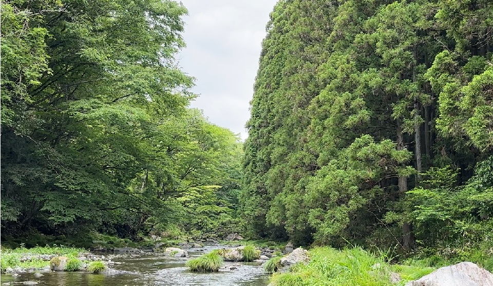 西富士オートキャンプ場