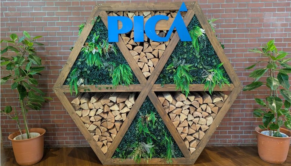 PICA Fujiyama