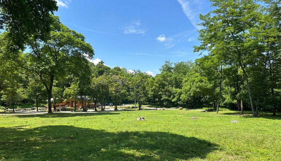 蓼科高原キャンプ場