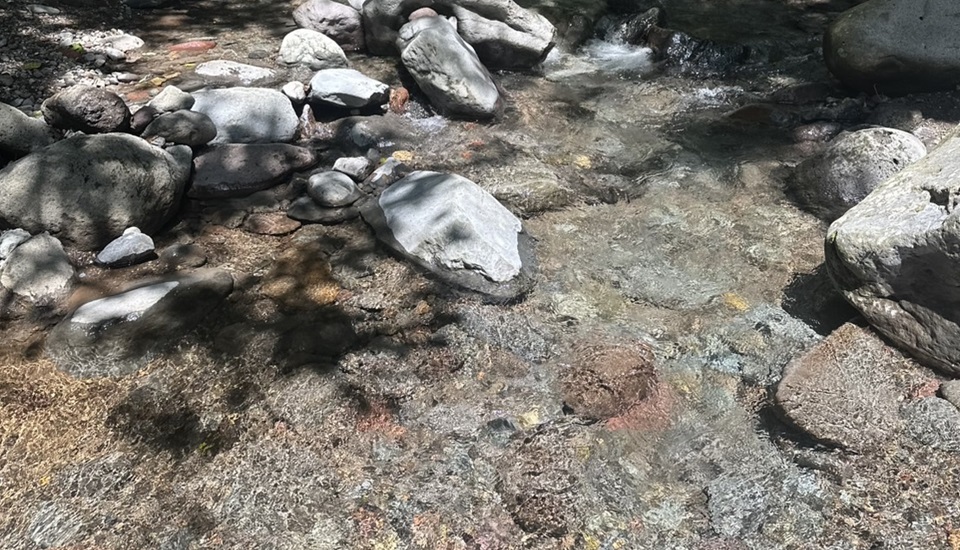 オーキャン宝島