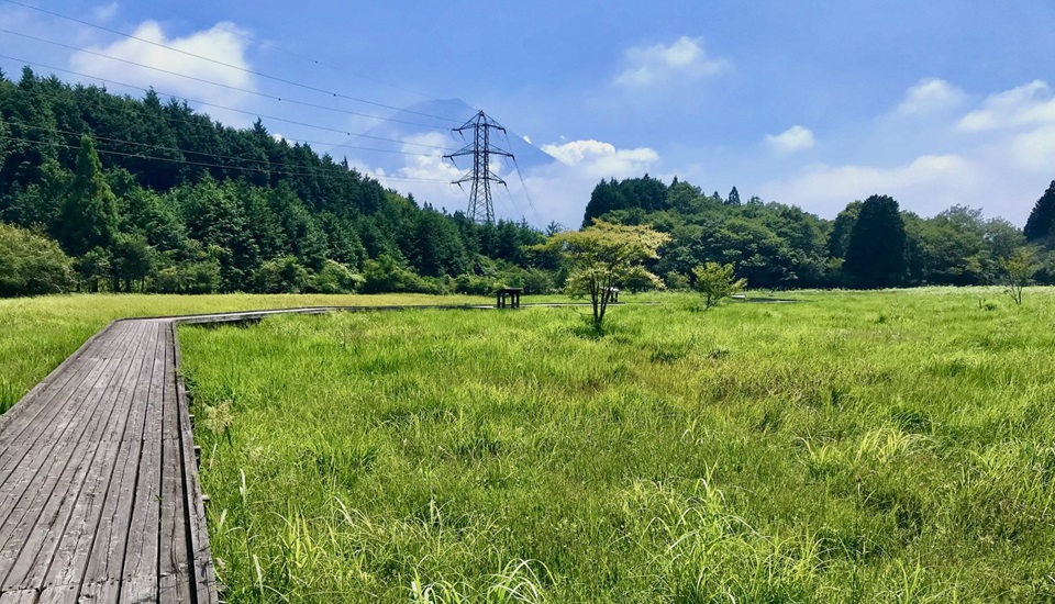小田貫湿原