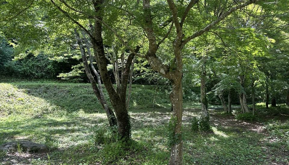 田人オートキャンプ場
