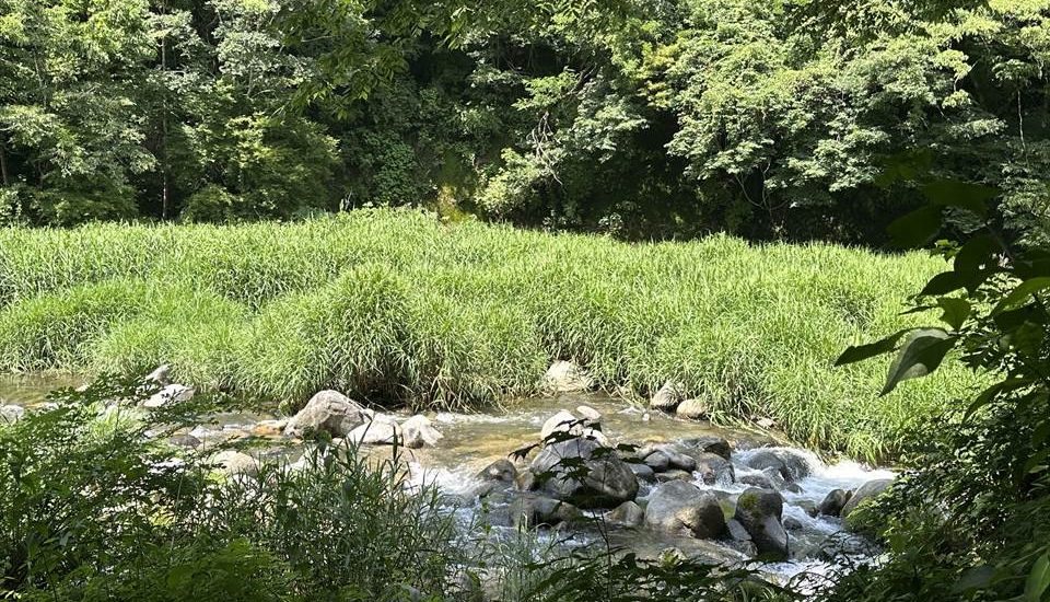 田人オートキャンプ場