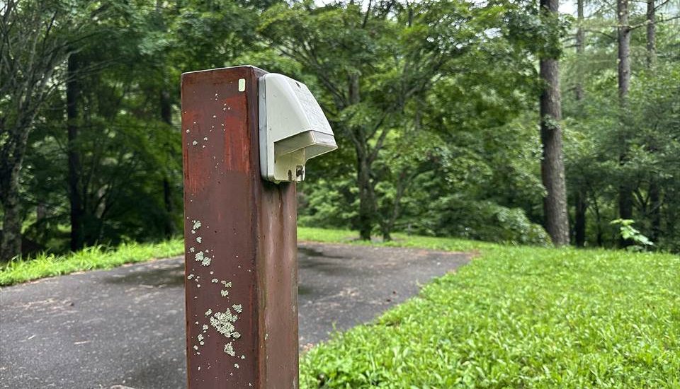 長者の森