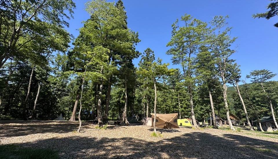 とことん山キャンプ場