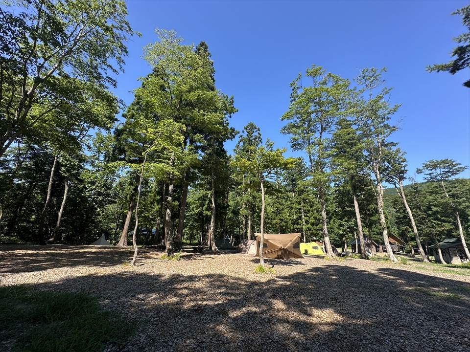 とことん山キャンプ場
