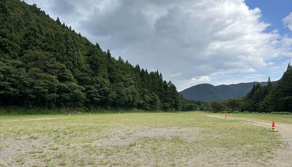 るぽぽの森