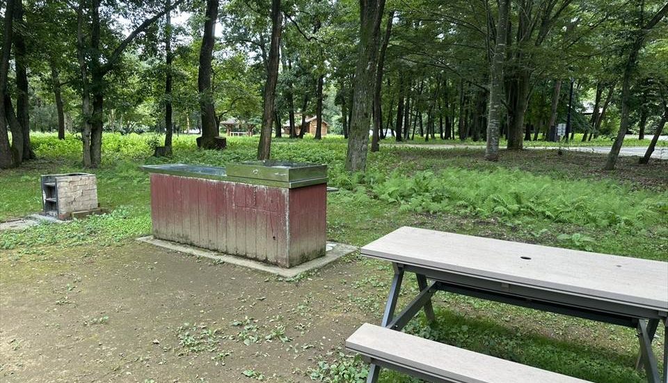 エコキャンプみちのく