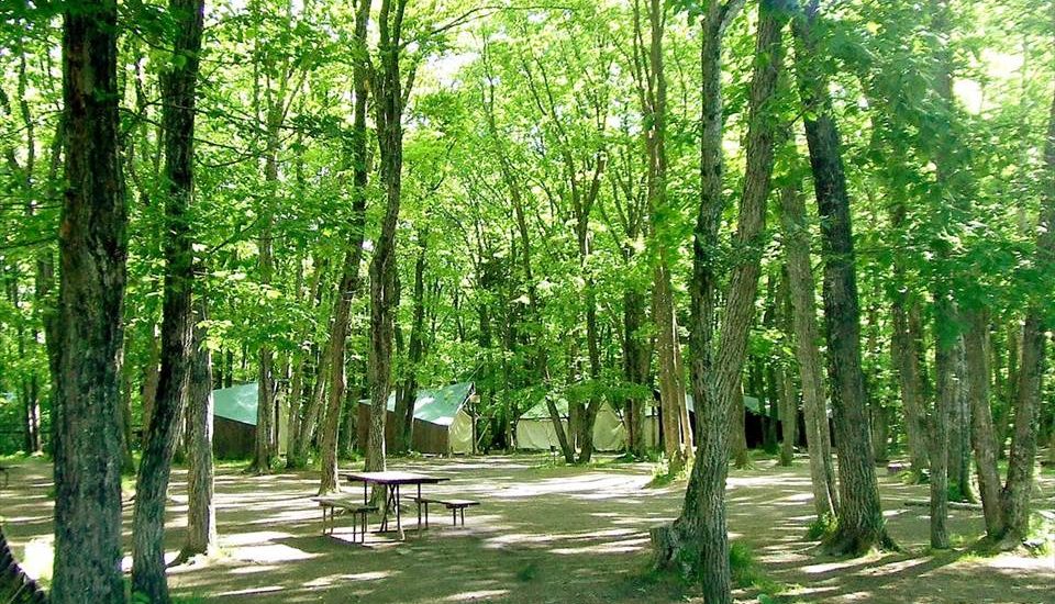 北軽井沢スウィートグラス