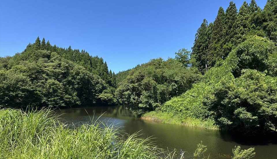 毘沙門いこいの森