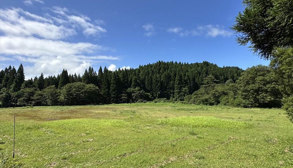 毘沙門いこいの森