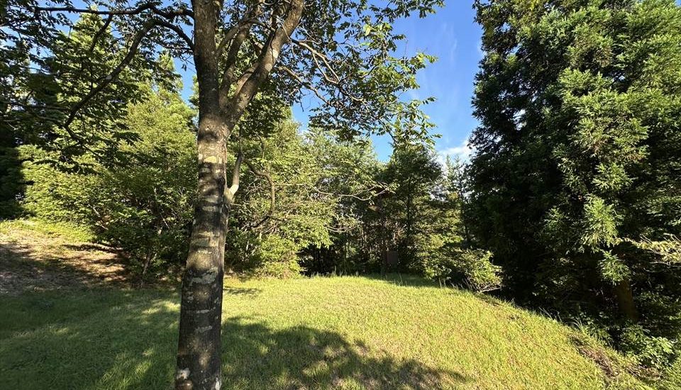 羽根川森林公園