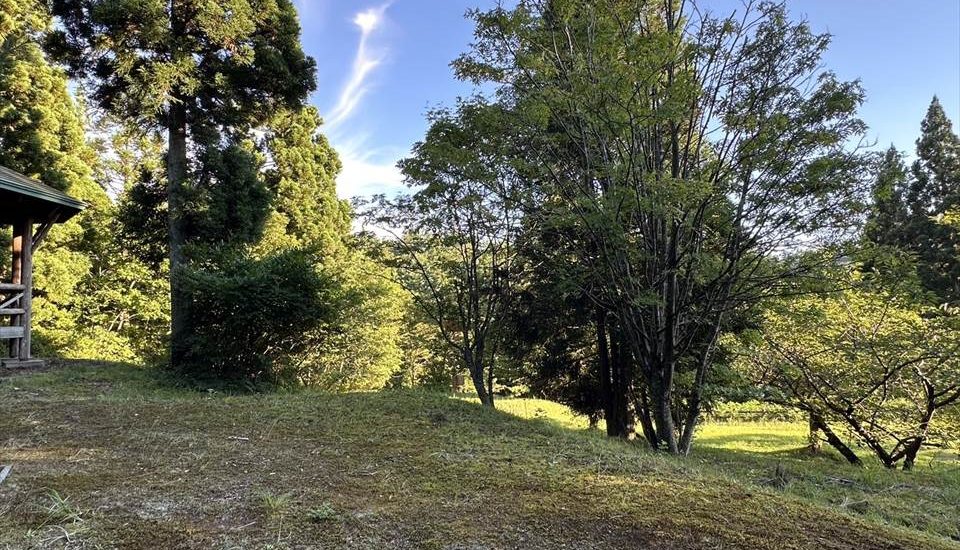 羽根川森林公園