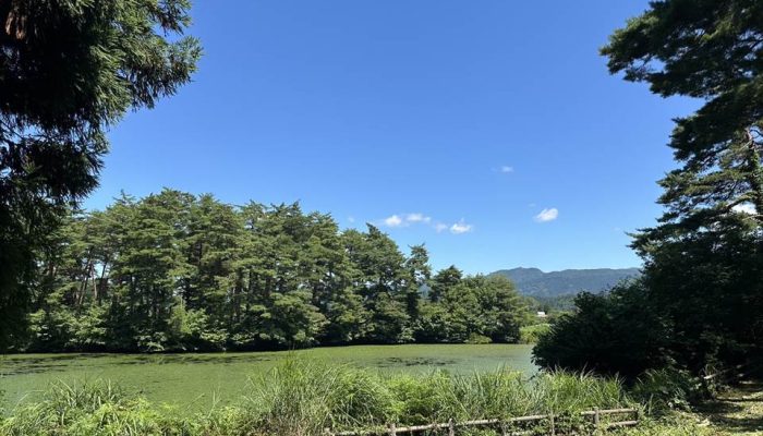 雁の里ふれあいの森