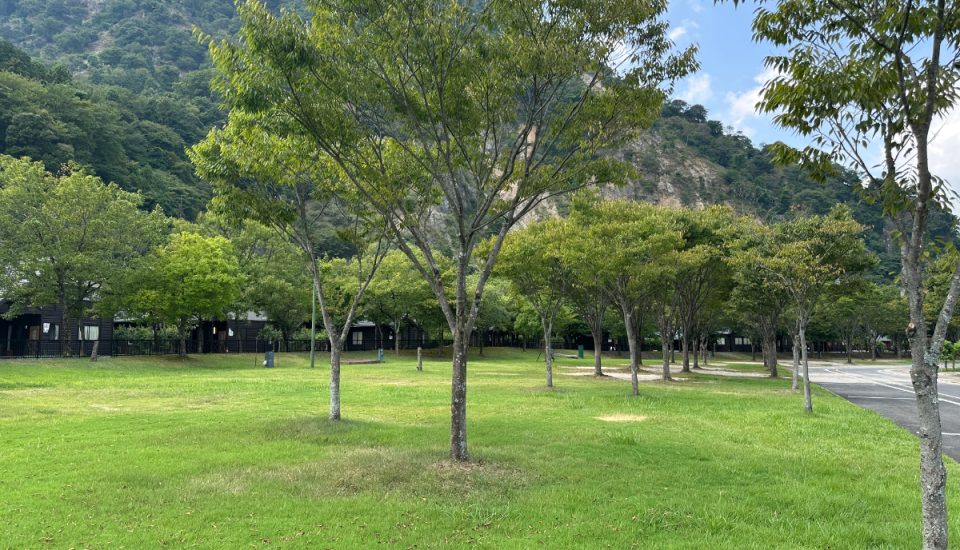 青川峡キャンピングパーク