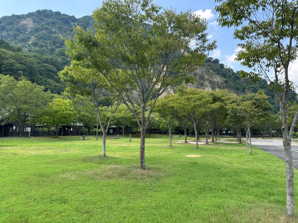青川峡キャンピングパーク