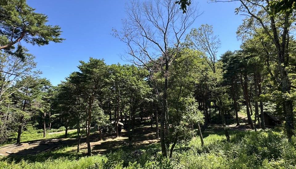 黒崎オートキャンプ場