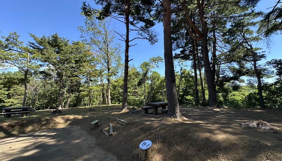 黒崎オートキャンプ場