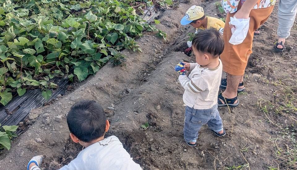 オートキャンプ場太陽の丘
