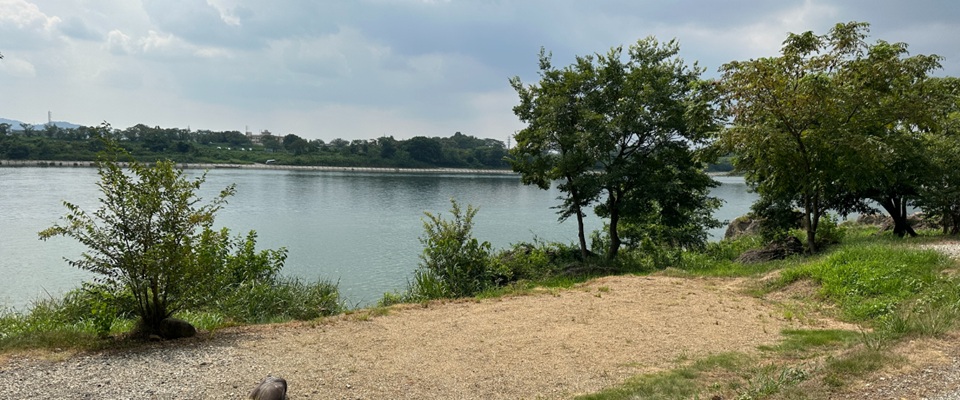 伊木山フォレスト予約