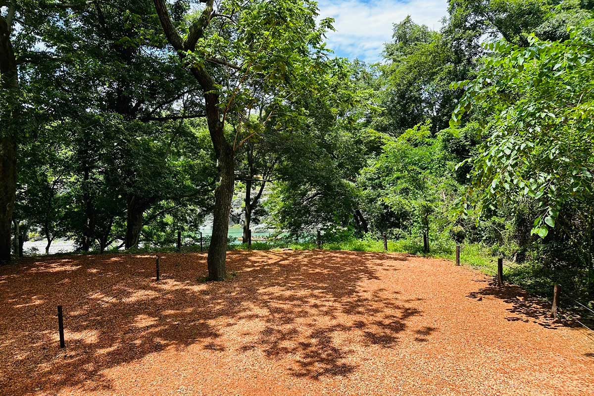 こもれびサイト