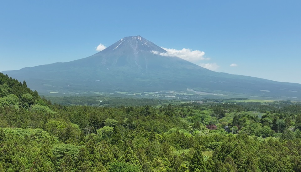 コビットあさぎり
