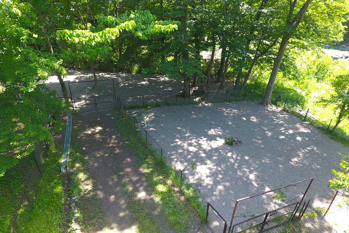 ドッグフリーサイト