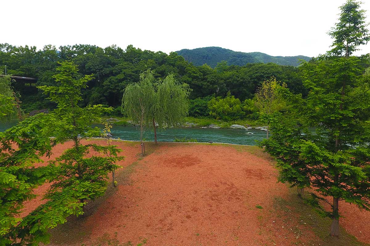 ビューサイトワイド