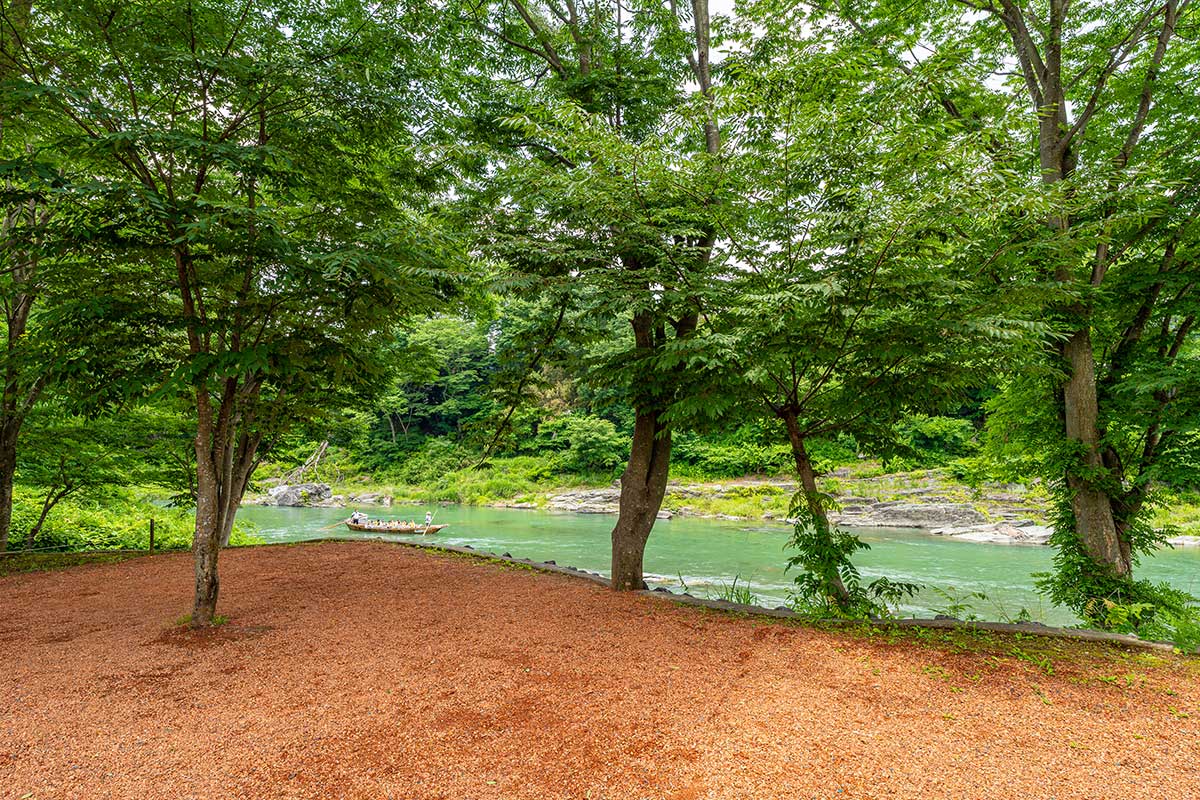 プレミアムサイト