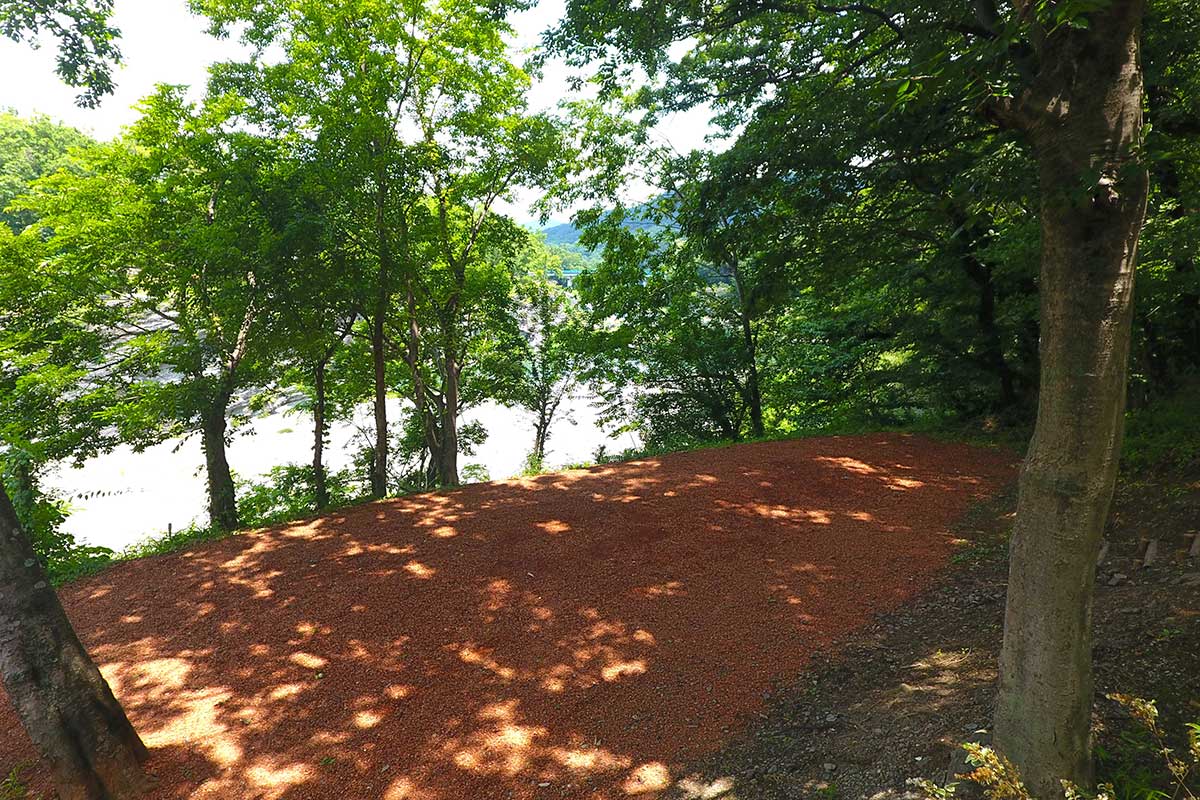 プレミアムサイト