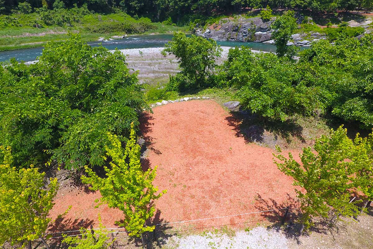 プレミアムサイトソロ