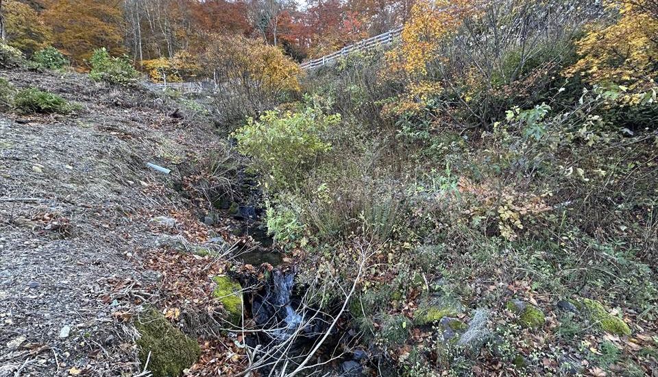 五色温泉オートキャンプ場