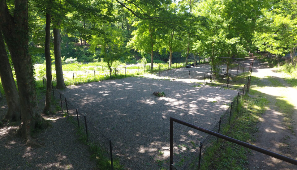 長瀞オートキャンプ場サイト (1)