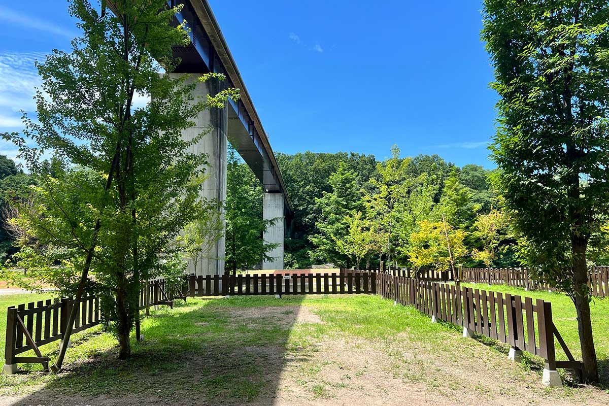 青空サイトソロ