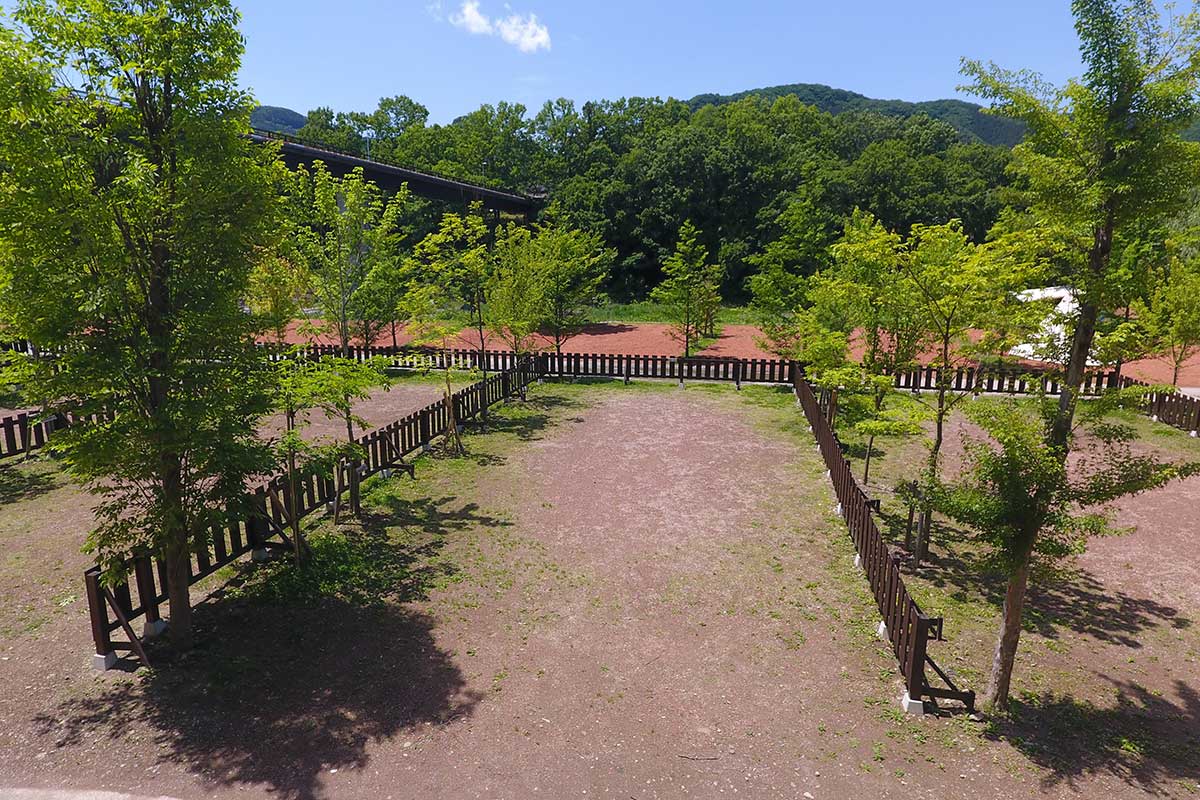 青空サイトワイド