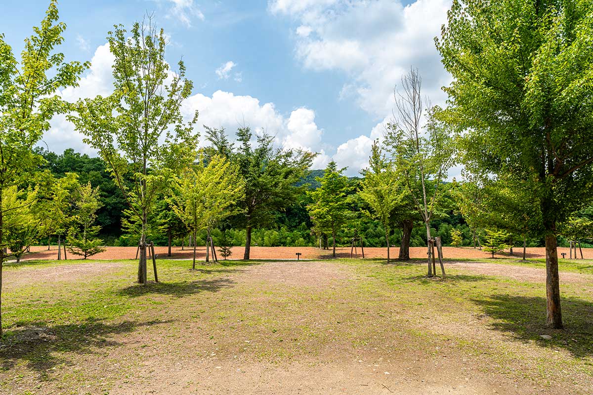 青空サイトレギュラー