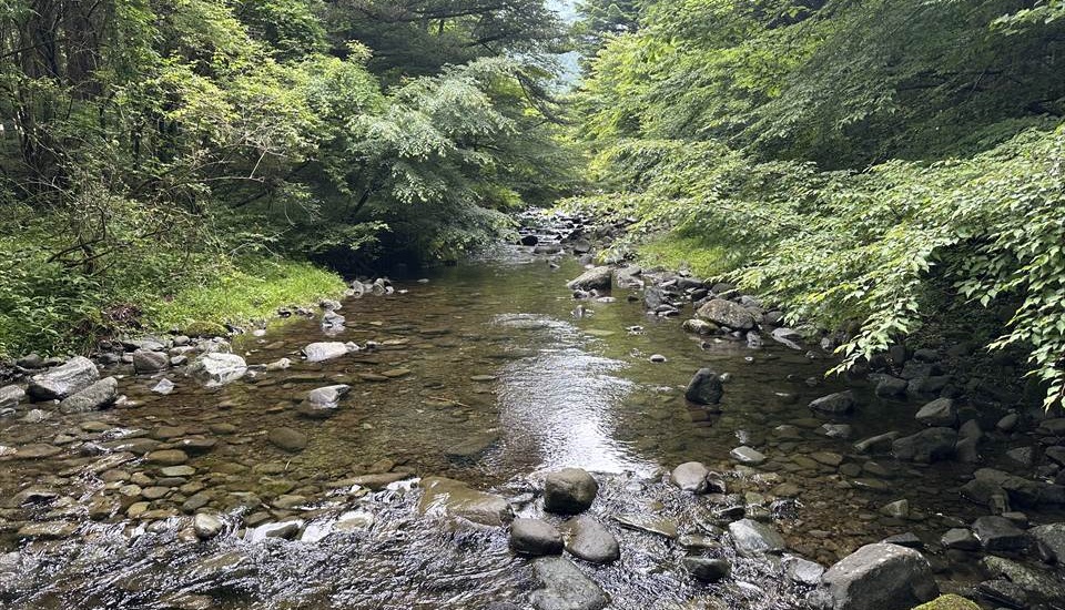 Foresters Village kobbit あさぎり