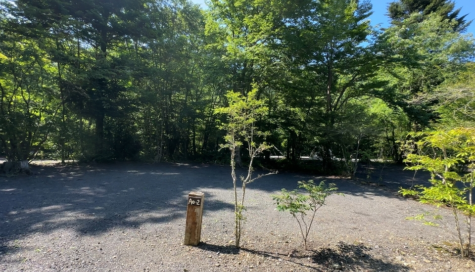 Kobittoあおぞらサイト