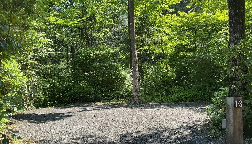 Kobittoいのかしらサイト2