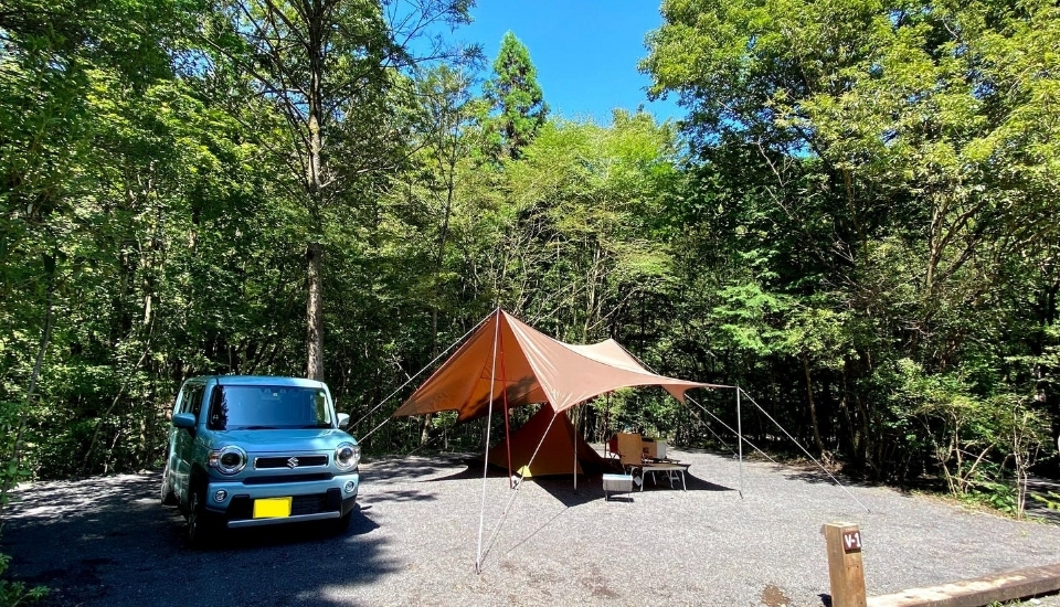 Kobittoびゅーサイト