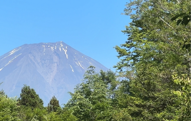 Kobittoあさぎりサイト紹介