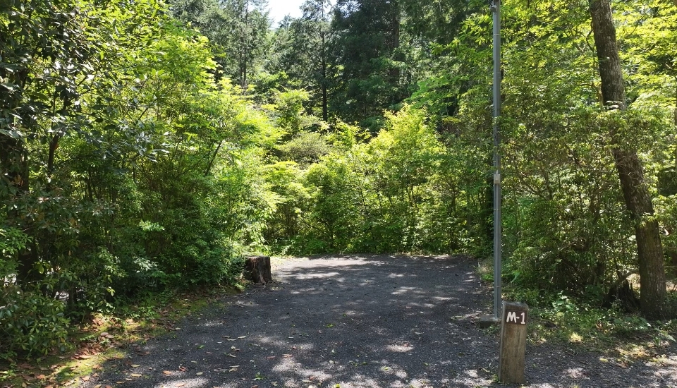 Kobittoソロサイト