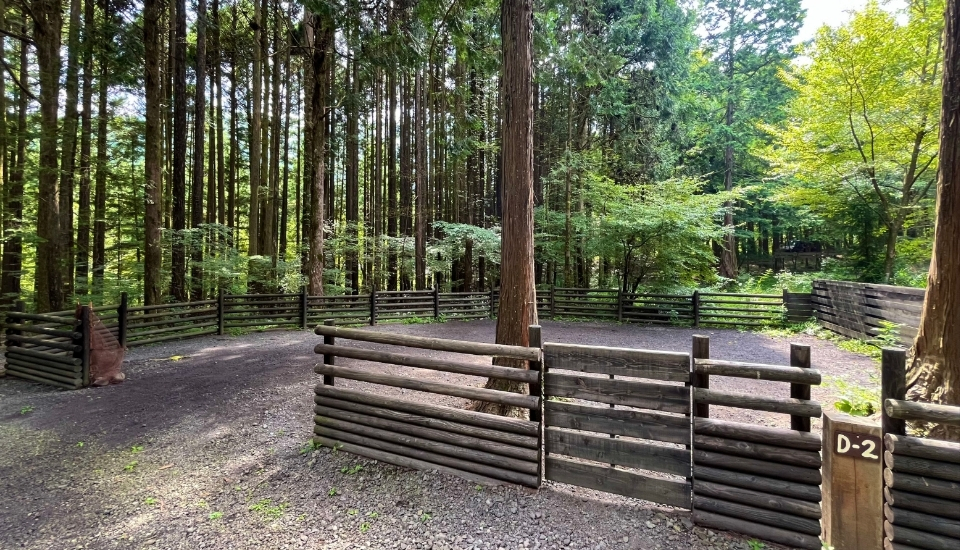 Kobittoドッグサイト