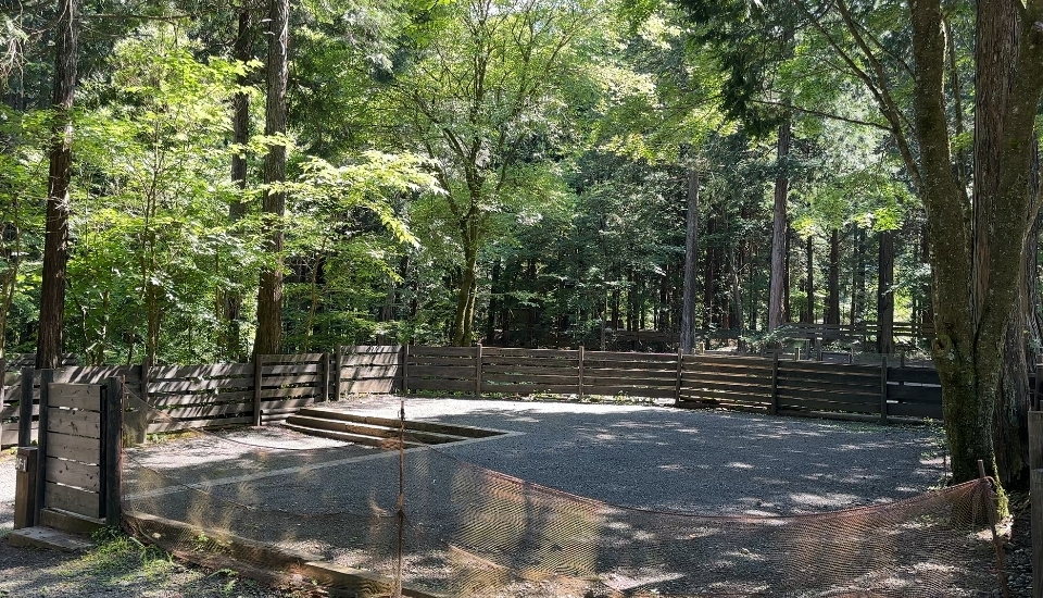 Kobittoドッグフリーサイト