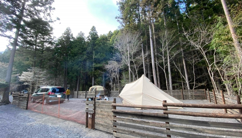 Kobittoドッグランサイト