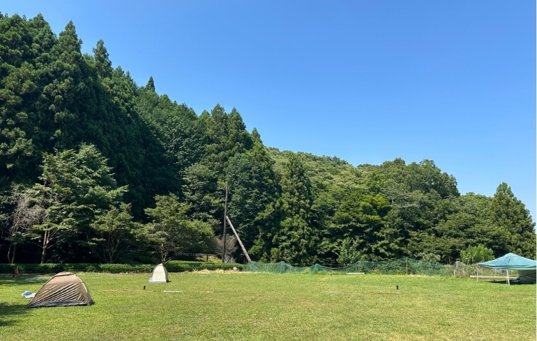 sotosotodays南足柄天気