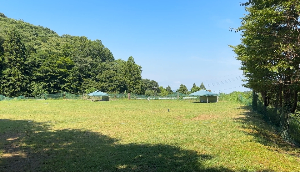 sotosotodays南足柄天気４