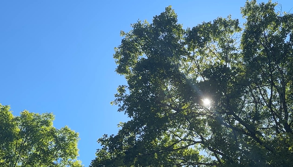 こもれびの森キャンプ荘川