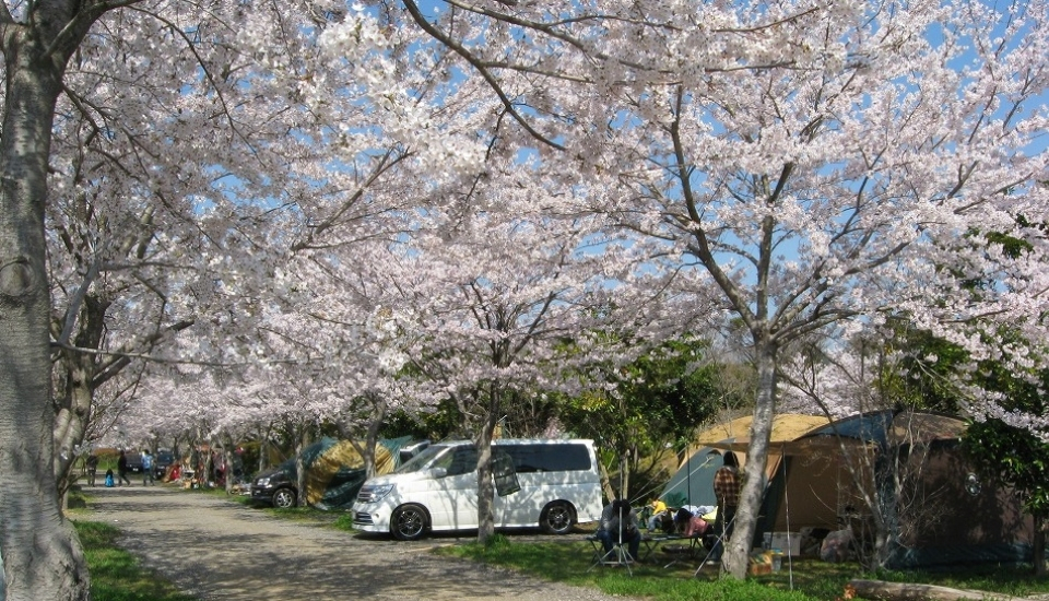 イレブンオートキャンプパーク　天気４
