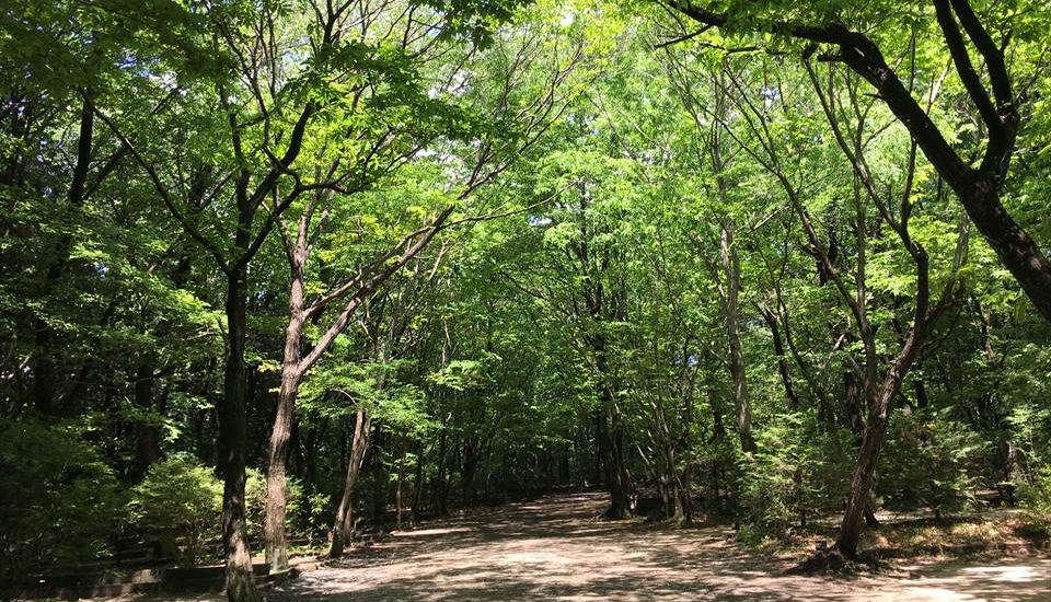 オートキャンプ場太陽の丘